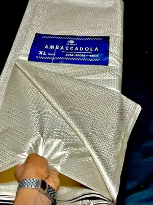 Luxurious Influencer