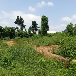 A Standard 2 Plots of Land for Sale at Olodo, Ibadan