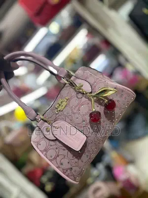 Coach Bag Full Box