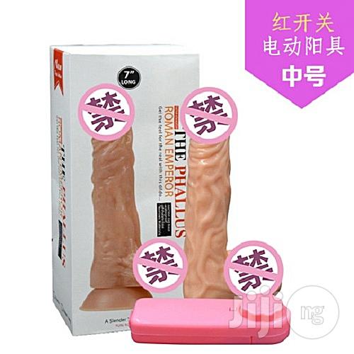 Generic Dildo And Vibrator