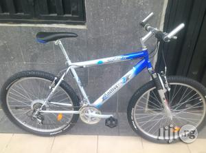 Active Mountain Adult Sport Bike With Big Tyres