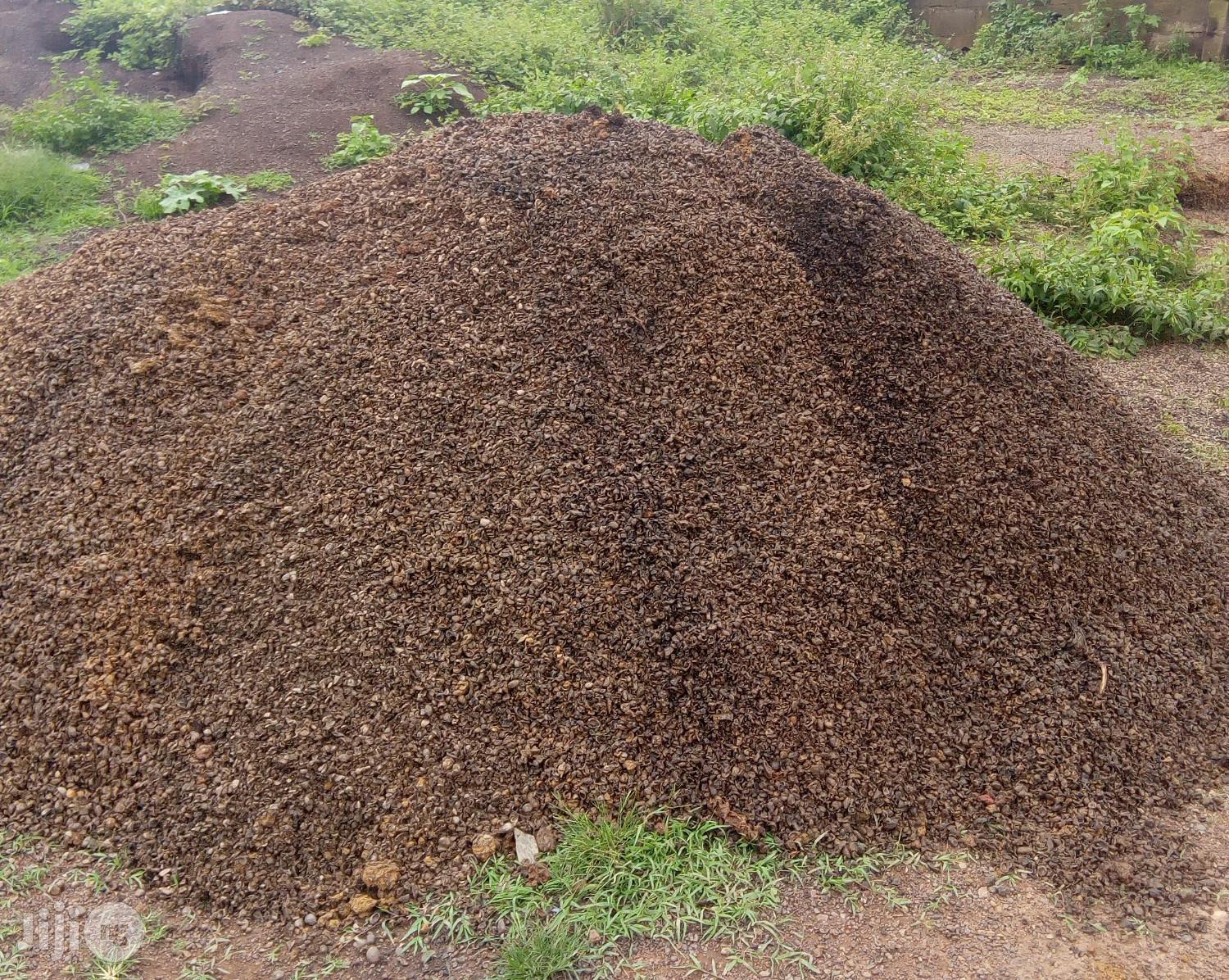 Palm Kernel Shell