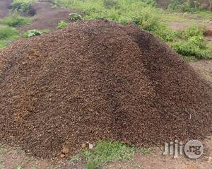 Palm Kernel Shell