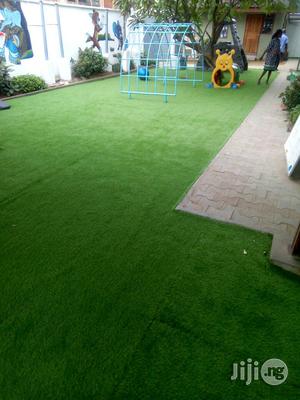 Green Carpet Grass