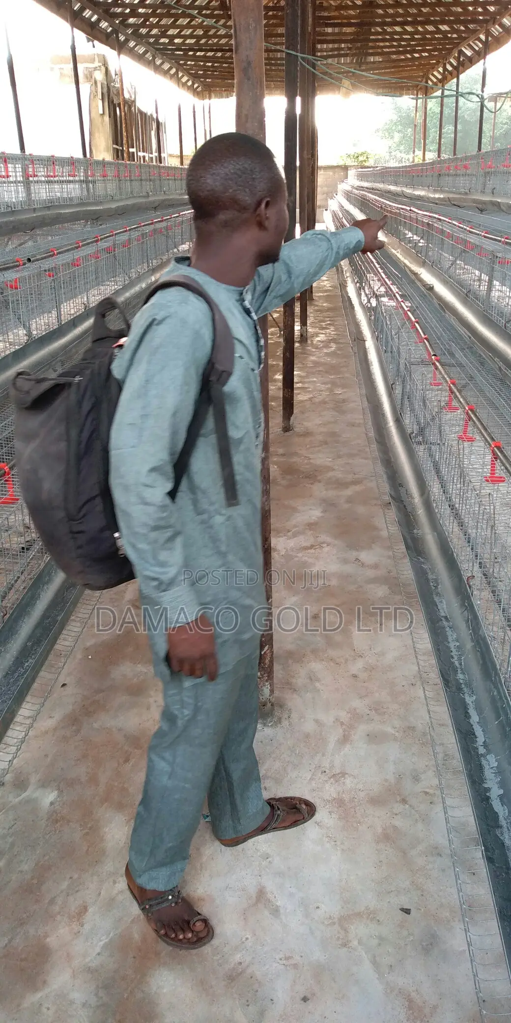 Quality Battery Cage