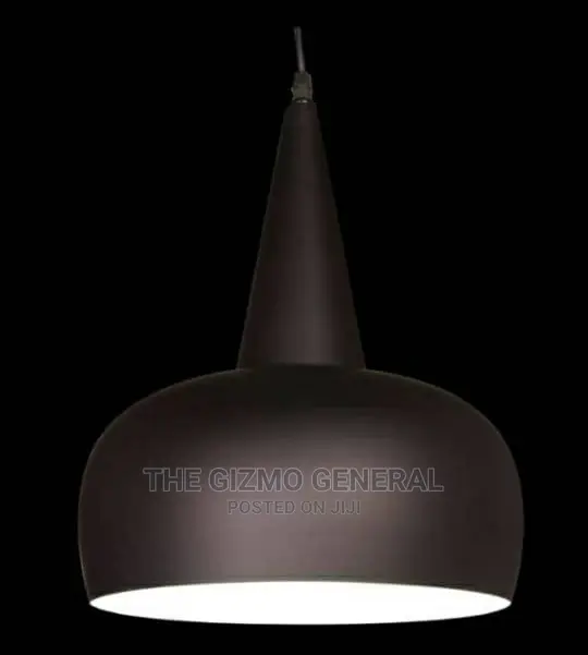 Modernist Decorative Pendant Light