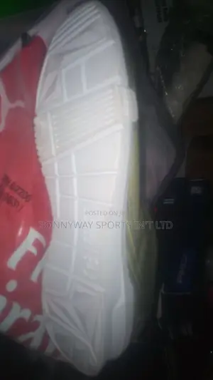 Champions Jugging Canvas