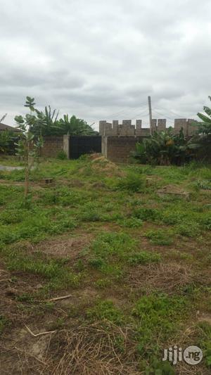 Standard Full Plot of Land in Diamond Estate