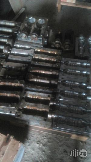 Pet Stainless Bottle Mould