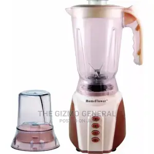 Homeflower 2 In 1 Blender- Hf3489