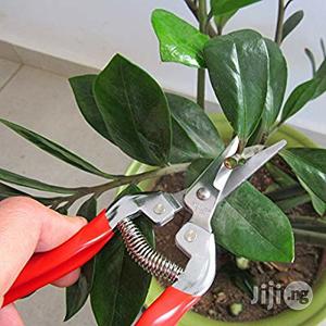 USA TABOR TOOLS K17 Pruning Shears, Sharp Straight Blade Multi-tasking