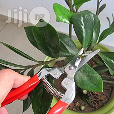 USA TABOR TOOLS K17 Pruning Shears, Sharp Straight Blade Multi-tasking