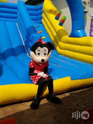 Bouncing Castles and Assorted Characters for Rent