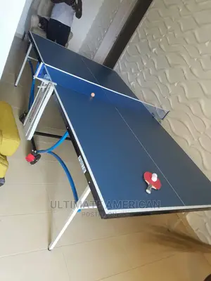 Standard Table Tennis Indoor Brand New