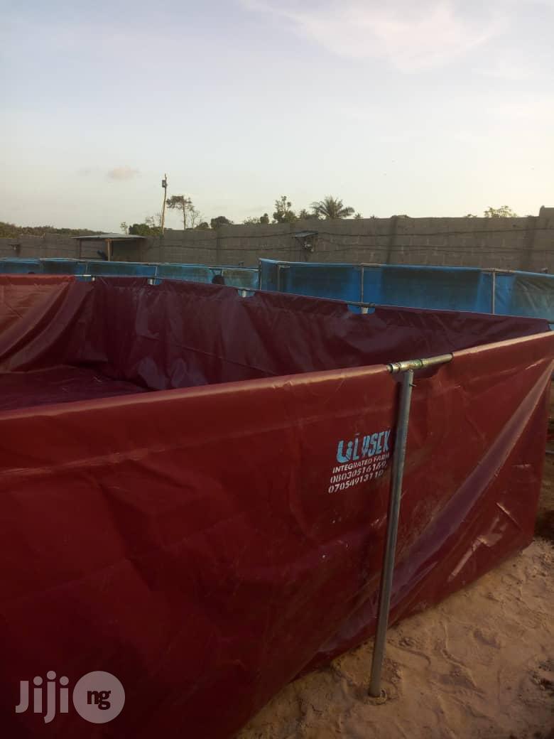 Moblie Fish Pond