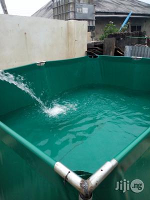 Fish Pond Construction