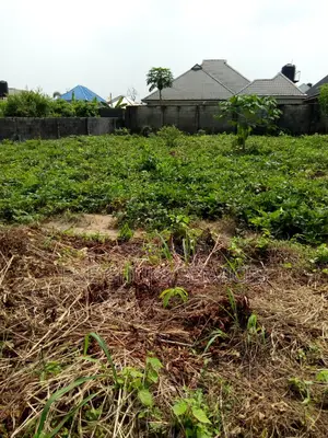 Plot of Land for Sale in Atali Love Avenue Rivers