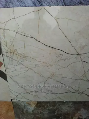 Quality and Original 60/60 Tiles