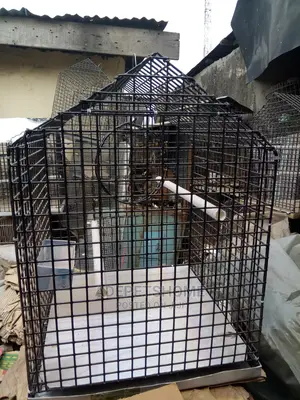 Parrot Cages For Sale
