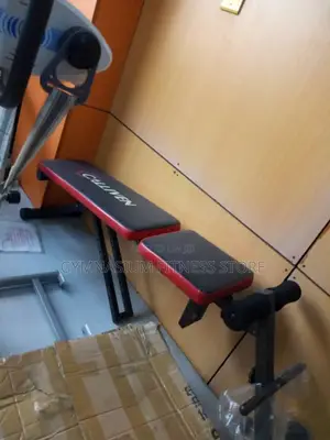 Adjustable Sit Up Bench 110