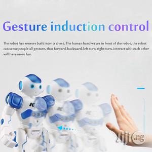 Programming Remote Control Robotica Toy for Children