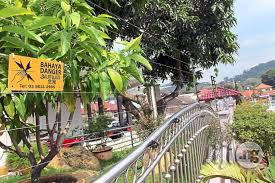 Electric Perimeter Fence