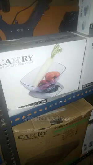 Camry Scale Of Various Kg 10kg Etc