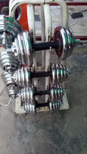 Pair of 15kg Dumbbell CZX