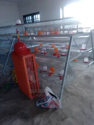 Chicken Cages