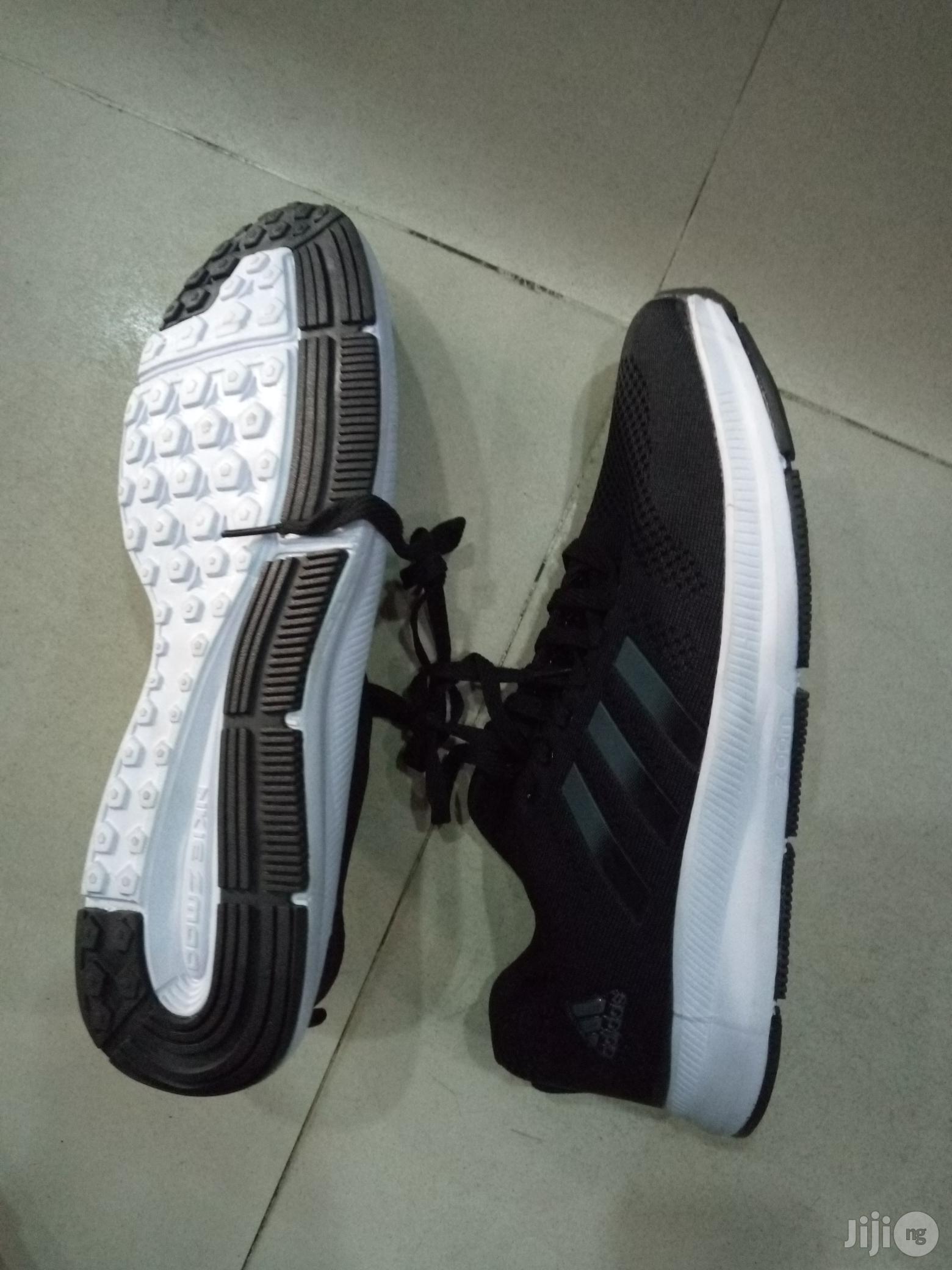 Brand New Sports Canvas