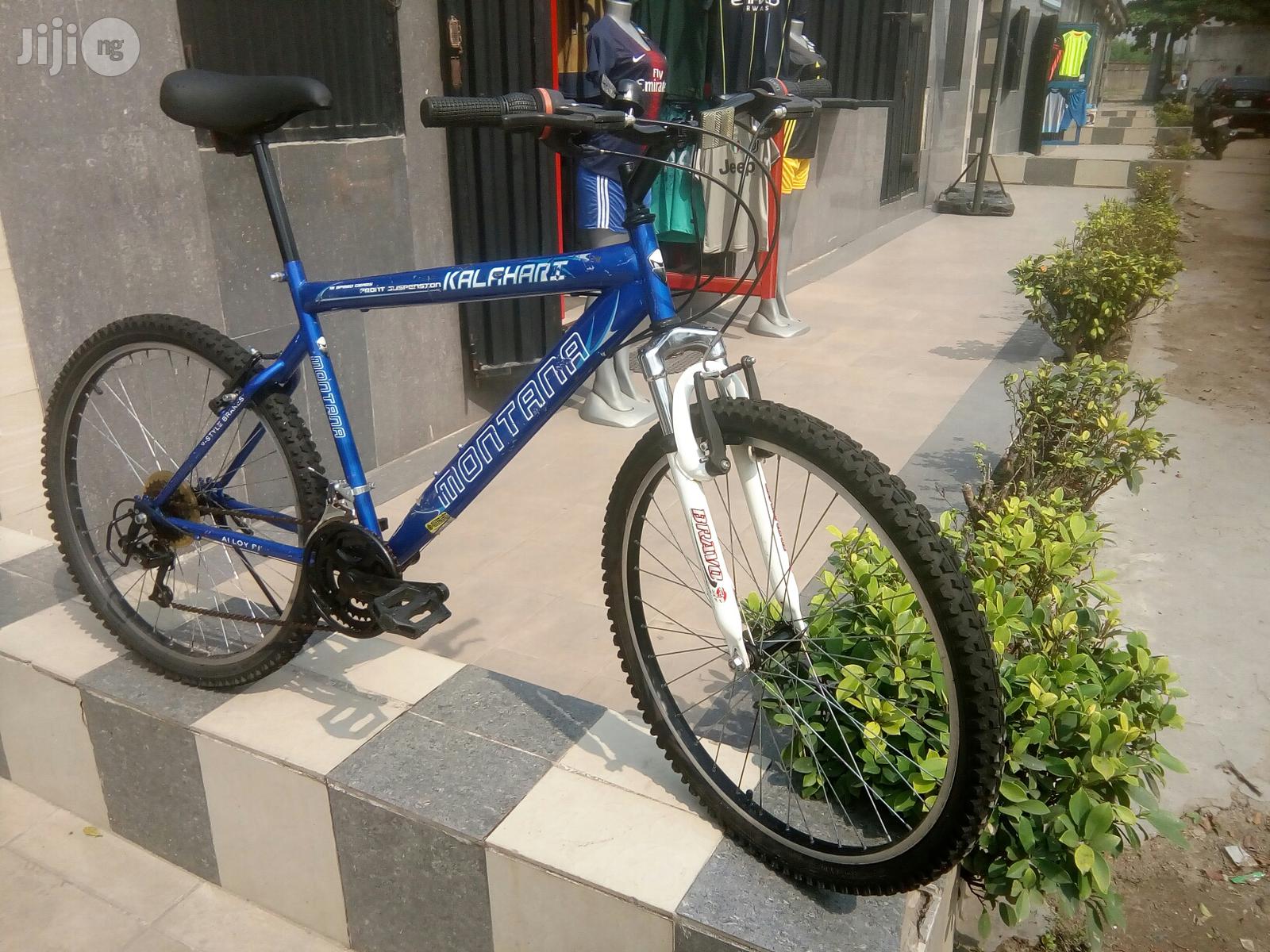 Montana Sport Bicycle