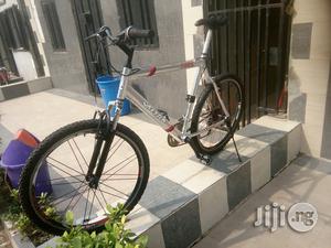 Silver Fox Sport Bicycle