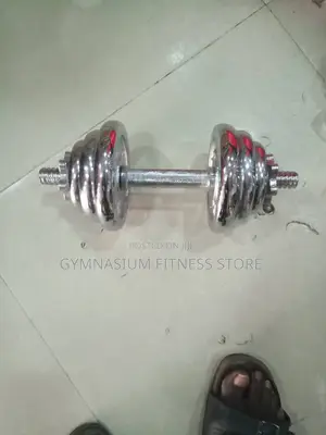 Pair of 10kg Dumbbell Iron