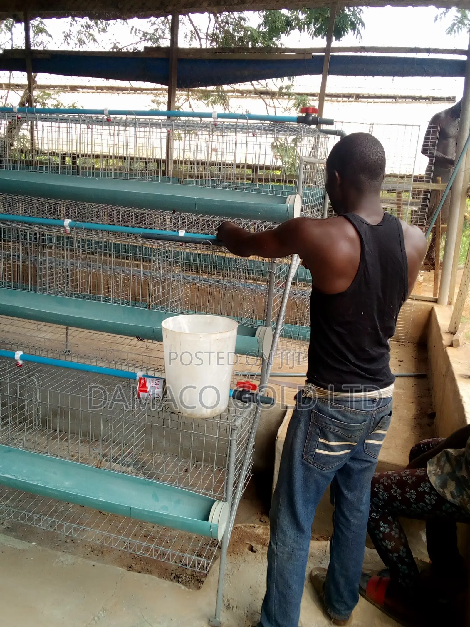 Quality Battery Cage