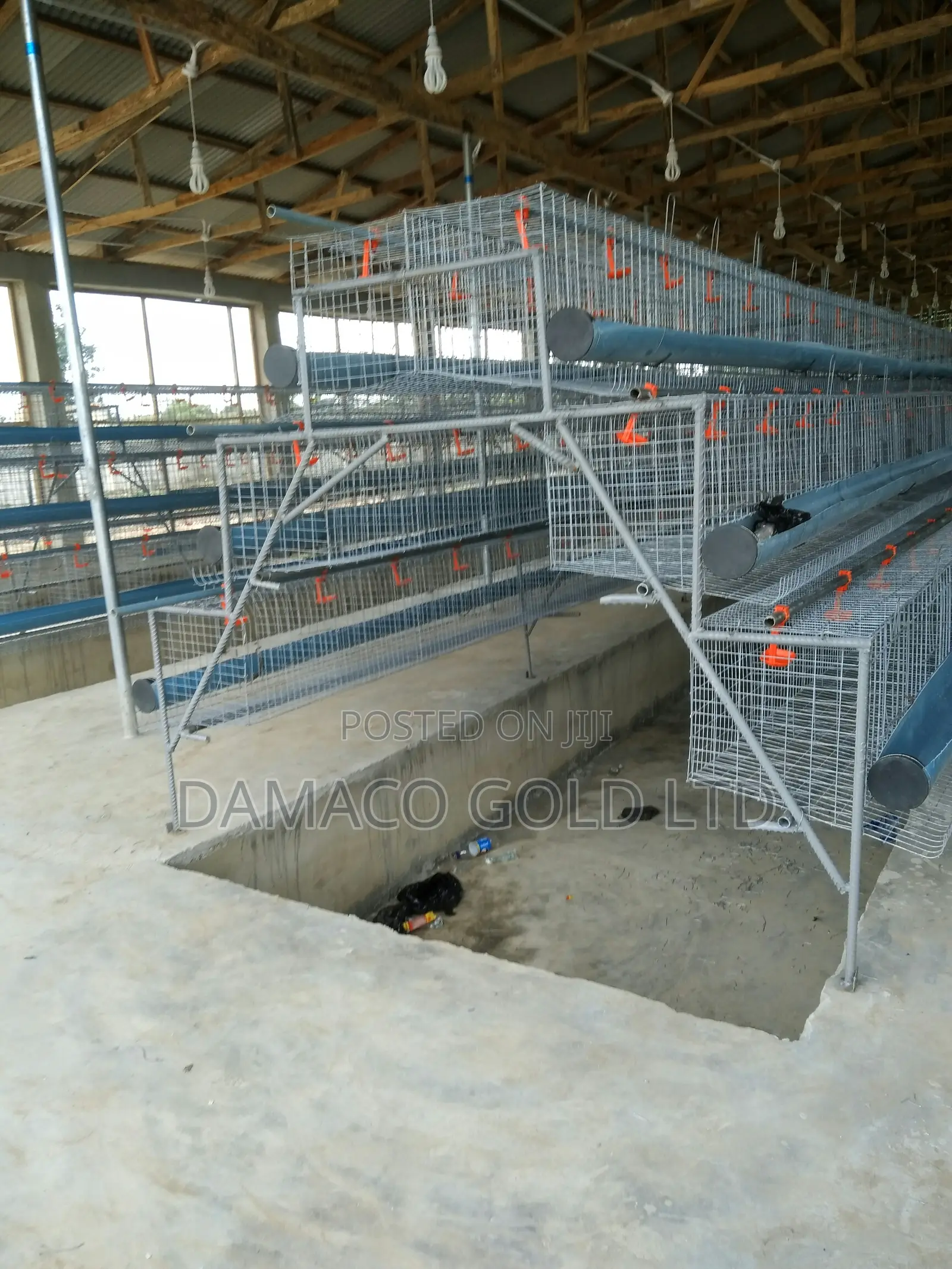 Quality Battery Cage