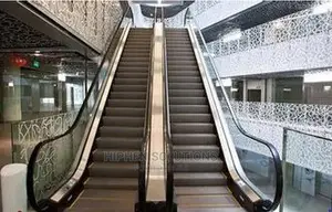 35 Degree Electric Escalator Commercial Outdoor Indoor Use