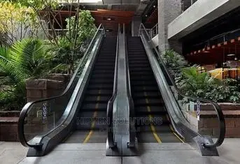 Outdoor Passengers Escalator
