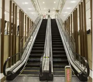 Smart Noiseless Electric Escalator For Commercial Buildings