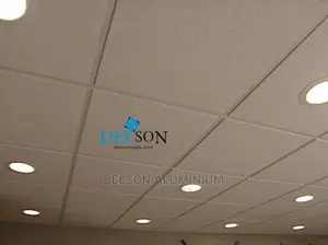 Suspended Ceiling