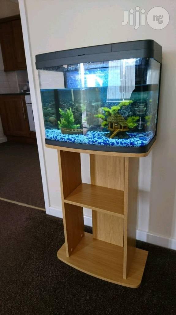 Aquariums And Water Bubbles