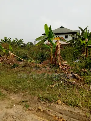 A Plot of Land at Shell Cooperative by Eliozu/Eneka Road