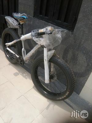 Fat Tyre Bicycle
