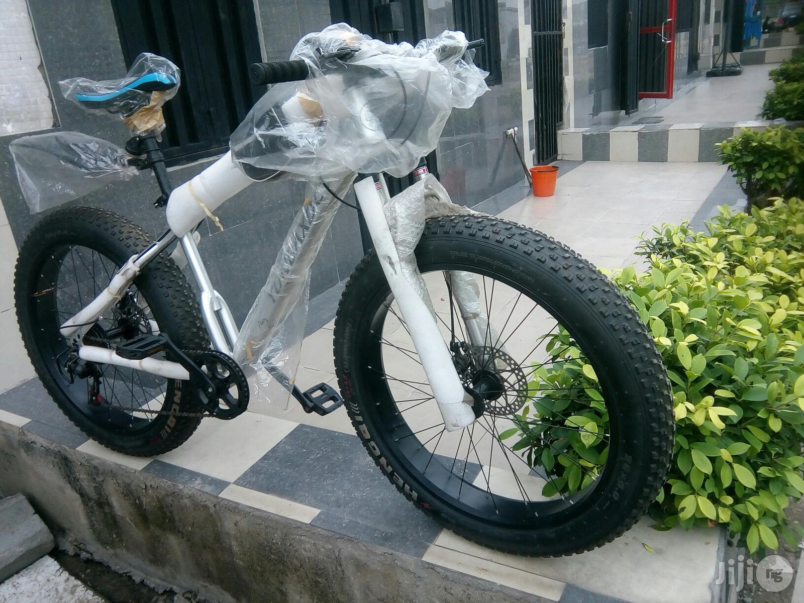 Fat Tyre Bicycle