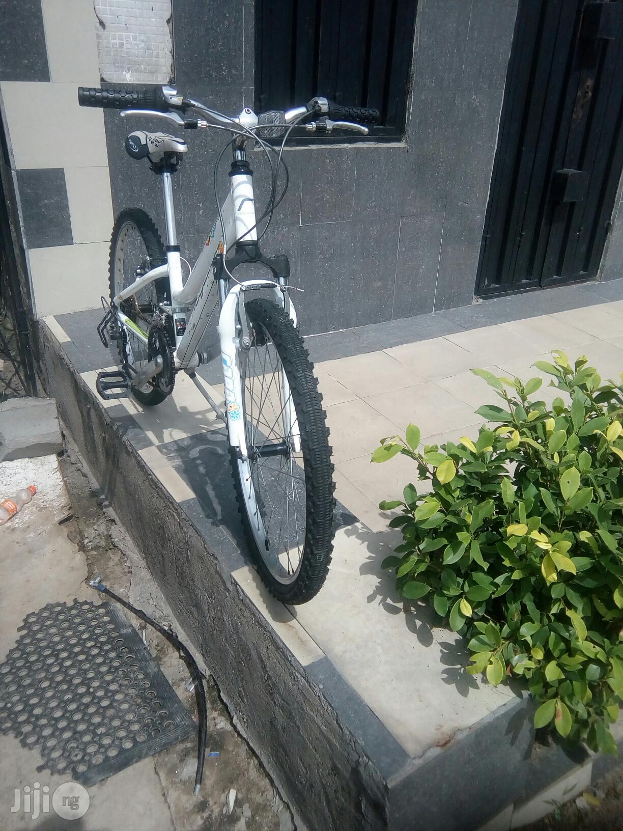 Ridgeback Teenagers Bicycle