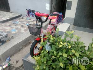 Children Bicycle Age 2 to 6