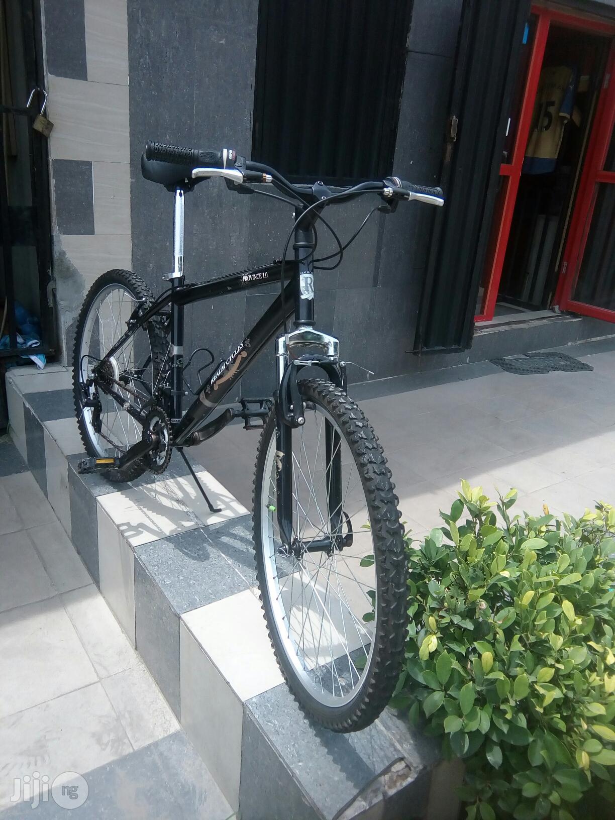 Mountain Sport Bicycle