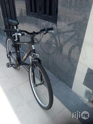 Realm Sport Bicycle