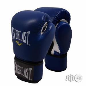 Everlast Boxing Glove