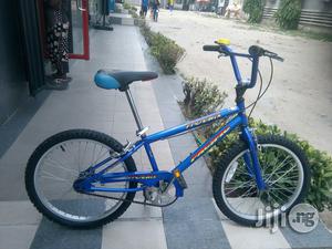 Pacific Children Bicycle Age 9to18