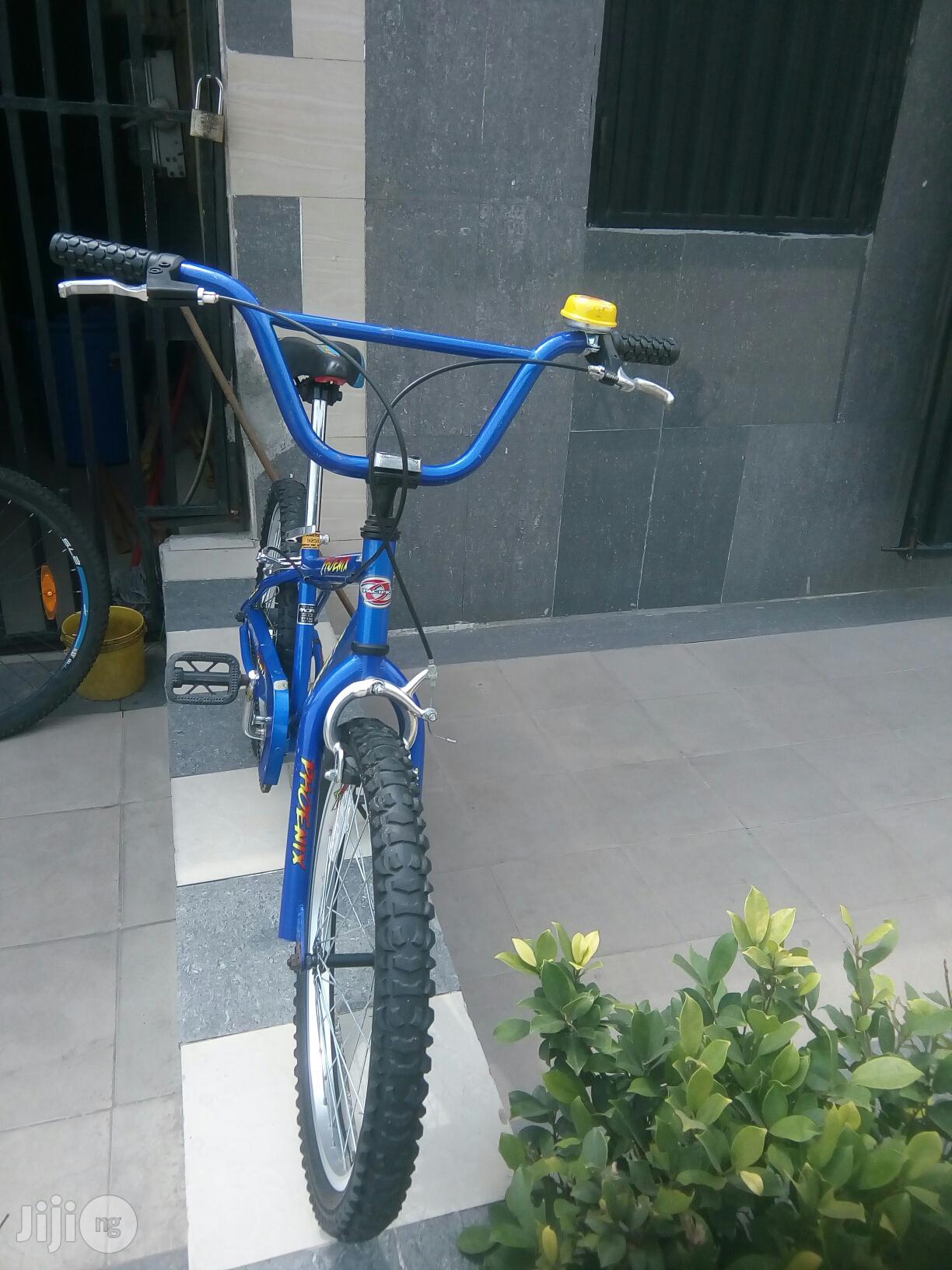 Pacific Children Bicycle Age 9to18